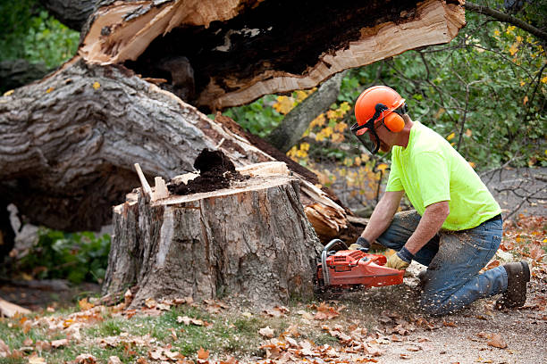 Landscape Design and Installation in Fairmont, MN